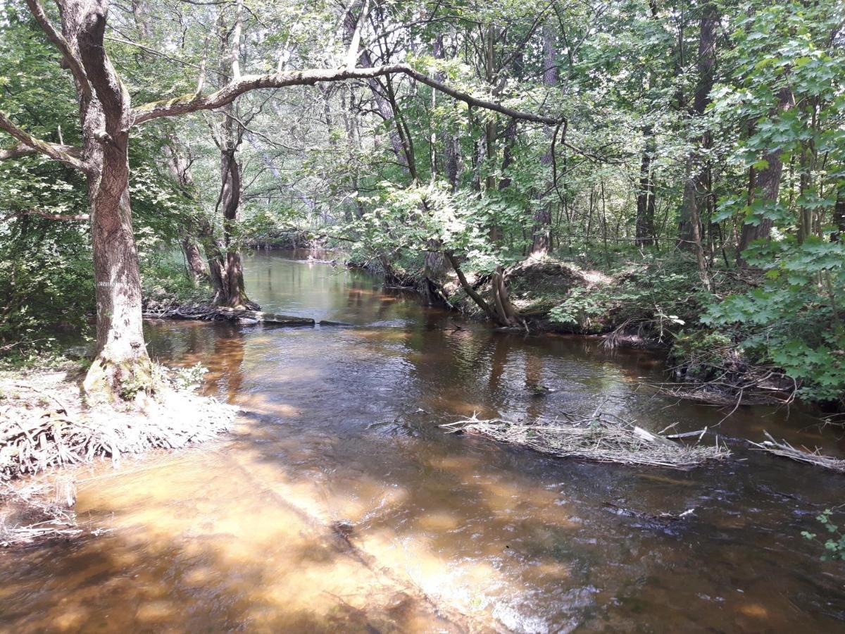 Mazury Domek Caloroczny Pelnik Gm Ostroda Jezioro Las Bagian luar foto