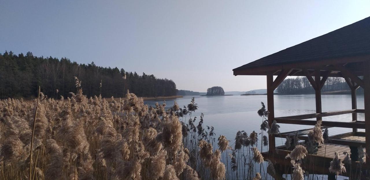 Mazury Domek Caloroczny Pelnik Gm Ostroda Jezioro Las Bagian luar foto